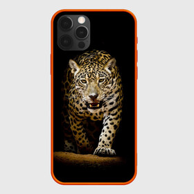 Чехол для iPhone 12 Pro с принтом Leopard в Кировске, силикон | область печати: задняя сторона чехла, без боковых панелей | дикая кошка | зверь | клыки | кот | леопард | оскал | пантера | природа | хищник | ягуар