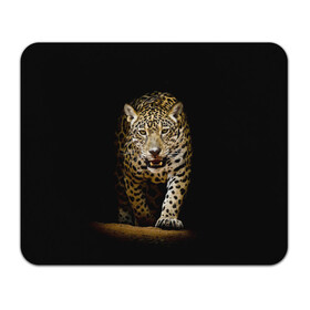 Коврик для мышки прямоугольный с принтом Leopard в Кировске, натуральный каучук | размер 230 х 185 мм; запечатка лицевой стороны | дикая кошка | зверь | клыки | кот | леопард | оскал | пантера | природа | хищник | ягуар