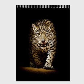 Скетчбук с принтом Leopard в Кировске, 100% бумага
 | 48 листов, плотность листов — 100 г/м2, плотность картонной обложки — 250 г/м2. Листы скреплены сверху удобной пружинной спиралью | дикая кошка | зверь | клыки | кот | леопард | оскал | пантера | природа | хищник | ягуар