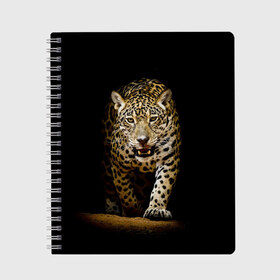 Тетрадь с принтом Leopard в Кировске, 100% бумага | 48 листов, плотность листов — 60 г/м2, плотность картонной обложки — 250 г/м2. Листы скреплены сбоку удобной пружинной спиралью. Уголки страниц и обложки скругленные. Цвет линий — светло-серый
 | Тематика изображения на принте: дикая кошка | зверь | клыки | кот | леопард | оскал | пантера | природа | хищник | ягуар