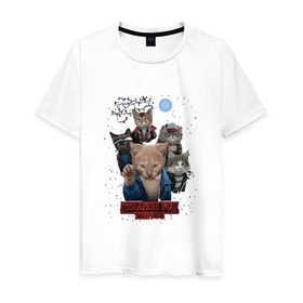 Мужская футболка хлопок с принтом Stranger Things в Кировске, 100% хлопок | прямой крой, круглый вырез горловины, длина до линии бедер, слегка спущенное плечо. | кот | коты | очень странные дела