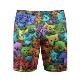 Мужские шорты 3D спортивные с принтом Разноцветные коты в Кировске,  |  | котенок | котик | котята | кошка | кошки | паттерн