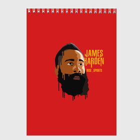 Скетчбук с принтом James Harden в Кировске, 100% бумага
 | 48 листов, плотность листов — 100 г/м2, плотность картонной обложки — 250 г/м2. Листы скреплены сверху удобной пружинной спиралью | Тематика изображения на принте: fear the beard | houston rockets | nba | rise sports | баскетбол | джеймс харден | нба | хьюстон рокетс