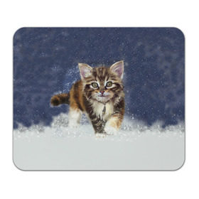 Коврик прямоугольный с принтом Зимний котик в Кировске, натуральный каучук | размер 230 х 185 мм; запечатка лицевой стороны | Тематика изображения на принте: зима | кот | котенок | кошка | новый год | снег | снежинка | снежок