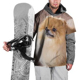 Накидка на куртку 3D с принтом Шпитс в Кировске, 100% полиэстер |  | милый | мягкий | пушистый | собака | шерсть | щенок