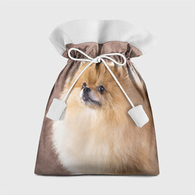 Подарочный 3D мешок с принтом Шпитс в Кировске, 100% полиэстер | Размер: 29*39 см | милый | мягкий | пушистый | собака | шерсть | щенок