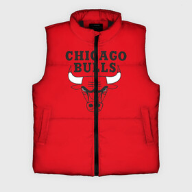 Мужской жилет утепленный 3D с принтом Chicago Bulls в Кировске,  |  | bulls | chicago | chicago bulls | nba | баскетбол | буллз | нба | чикаго буллз