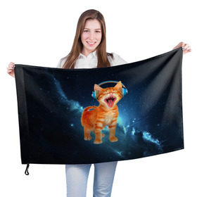 Флаг 3D с принтом Котёнок в наушниках в Кировске, 100% полиэстер | плотность ткани — 95 г/м2, размер — 67 х 109 см. Принт наносится с одной стороны | кот | кошка | музыка