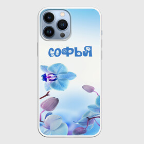 Чехол для iPhone 13 Pro Max с принтом Софья в Кировске,  |  | flower | name | spring | букет | весна | имена | имя | природа | софья | узор | цветочный | цветы