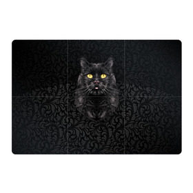 Магнитный плакат 3Х2 с принтом Чёрный котик в Кировске, Полимерный материал с магнитным слоем | 6 деталей размером 9*9 см | Тематика изображения на принте: кошка | чёрная