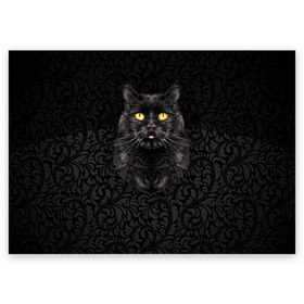 Поздравительная открытка с принтом Чёрный котик в Кировске, 100% бумага | плотность бумаги 280 г/м2, матовая, на обратной стороне линовка и место для марки
 | Тематика изображения на принте: кошка | чёрная