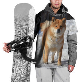 Накидка на куртку 3D с принтом Акита-ину в Кировске, 100% полиэстер |  | Тематика изображения на принте: акита | животное | животные | ину | овчарка | пес | песик | псы | сиба | собака | собаки | шиба