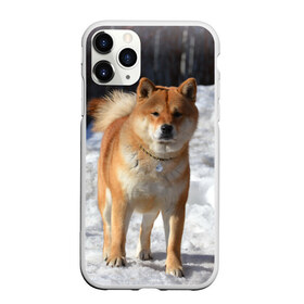 Чехол для iPhone 11 Pro матовый с принтом Акита-ину в Кировске, Силикон |  | Тематика изображения на принте: акита | животное | животные | ину | овчарка | пес | песик | псы | сиба | собака | собаки | шиба