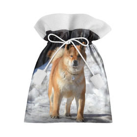 Подарочный 3D мешок с принтом Акита-ину в Кировске, 100% полиэстер | Размер: 29*39 см | Тематика изображения на принте: акита | животное | животные | ину | овчарка | пес | песик | псы | сиба | собака | собаки | шиба