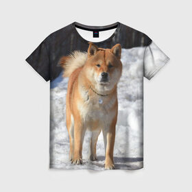 Женская футболка 3D с принтом Акита-ину в Кировске, 100% полиэфир ( синтетическое хлопкоподобное полотно) | прямой крой, круглый вырез горловины, длина до линии бедер | акита | животное | животные | ину | овчарка | пес | песик | псы | сиба | собака | собаки | шиба