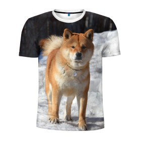 Мужская футболка 3D спортивная с принтом Акита-ину в Кировске, 100% полиэстер с улучшенными характеристиками | приталенный силуэт, круглая горловина, широкие плечи, сужается к линии бедра | акита | животное | животные | ину | овчарка | пес | песик | псы | сиба | собака | собаки | шиба