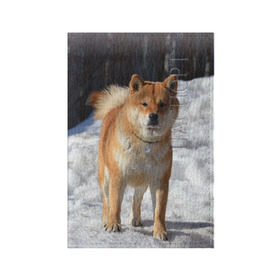 Обложка для паспорта матовая кожа с принтом Акита-ину в Кировске, натуральная матовая кожа | размер 19,3 х 13,7 см; прозрачные пластиковые крепления | акита | животное | животные | ину | овчарка | пес | песик | псы | сиба | собака | собаки | шиба