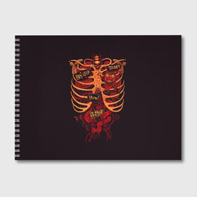 Альбом для рисования с принтом Человеческий скелет в Кировске, 100% бумага
 | матовая бумага, плотность 200 мг. | 3d скелет | кости | легкие | органы | ребра | сердце | скелет | человек