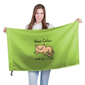 Флаг 3D с принтом Keep Calm and be a cat в Кировске, 100% полиэстер | плотность ткани — 95 г/м2, размер — 67 х 109 см. Принт наносится с одной стороны | cat | keep calm | домашние любимцы | животные | котики | котэ | котята | любовь | милые