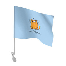 Флаг для автомобиля с принтом I am a Cat Person в Кировске, 100% полиэстер | Размер: 30*21 см | Тематика изображения на принте: cat | домашние любимцы | животные | котики | котэ | котята | любовь | милые
