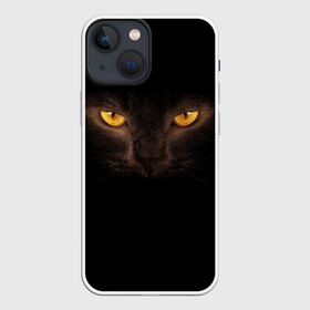 Чехол для iPhone 13 mini с принтом Кошачий Взгляд в Кировске,  |  | глаза | желтый | кот | котейка | котенок | котик | котя | кошка | усатый