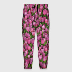 Мужские брюки 3D с принтом Розовые тюльпаны в Кировске, 100% полиэстер | манжеты по низу, эластичный пояс регулируется шнурком, по бокам два кармана без застежек, внутренняя часть кармана из мелкой сетки | 