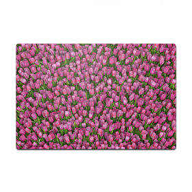 Пазл магнитный 126 элементов с принтом Розовые тюльпаны в Кировске, полимерный материал с магнитным слоем | 126 деталей, размер изделия —  180*270 мм | 