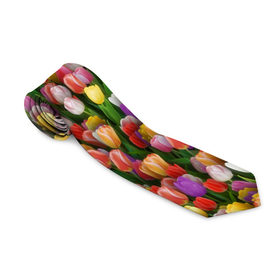 Галстук 3D с принтом Разноцветные тюльпаны в Кировске, 100% полиэстер | Длина 148 см; Плотность 150-180 г/м2 | 8 марта | tulip | белый | букет | желтый | зеленый | красный | паттерн | розовый | тюльпан | тюльпанчики | цветок | цветочки | цветы