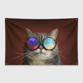 Флаг-баннер с принтом котейки в Кировске, 100% полиэстер | размер 67 х 109 см, плотность ткани — 95 г/м2; по краям флага есть четыре люверса для крепления | cat | взгляд | космос | кот | котик | очки
