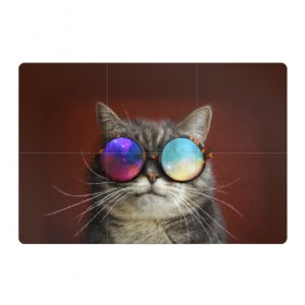 Магнитный плакат 3Х2 с принтом котейки в Кировске, Полимерный материал с магнитным слоем | 6 деталей размером 9*9 см | cat | взгляд | космос | кот | котик | очки