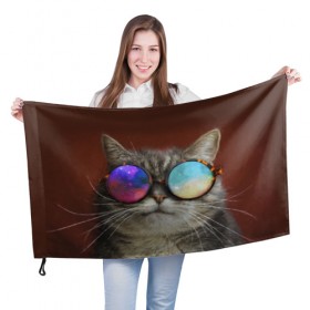 Флаг 3D с принтом котейки в Кировске, 100% полиэстер | плотность ткани — 95 г/м2, размер — 67 х 109 см. Принт наносится с одной стороны | cat | взгляд | космос | кот | котик | очки