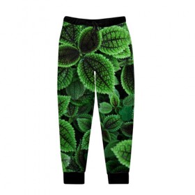 Мужские брюки 3D с принтом Зелень в Кировске, 100% полиэстер | манжеты по низу, эластичный пояс регулируется шнурком, по бокам два кармана без застежек, внутренняя часть кармана из мелкой сетки | 