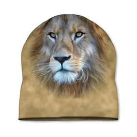 Шапка 3D с принтом Лев в Кировске, 100% полиэстер | универсальный размер, печать по всей поверхности изделия | голова | животные | кошка | лев | львица | природа | хищник