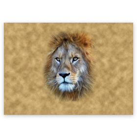 Поздравительная открытка с принтом Лев в Кировске, 100% бумага | плотность бумаги 280 г/м2, матовая, на обратной стороне линовка и место для марки
 | Тематика изображения на принте: голова | животные | кошка | лев | львица | природа | хищник