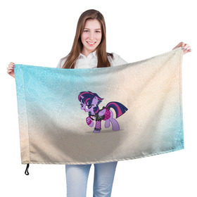 Флаг 3D с принтом My Little Pony в Кировске, 100% полиэстер | плотность ткани — 95 г/м2, размер — 67 х 109 см. Принт наносится с одной стороны | мой маленький пони | мультфильм