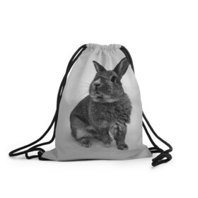 Рюкзак-мешок 3D с принтом Кролик в Кировске, 100% полиэстер | плотность ткани — 200 г/м2, размер — 35 х 45 см; лямки — толстые шнурки, застежка на шнуровке, без карманов и подкладки | Тематика изображения на принте: заяц | кролик