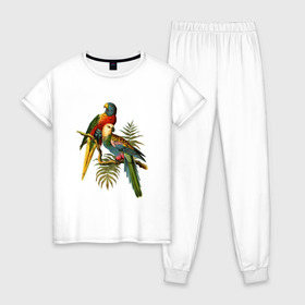 Женская пижама хлопок с принтом Попугаи в Кировске, 100% хлопок | брюки и футболка прямого кроя, без карманов, на брюках мягкая резинка на поясе и по низу штанин | ветки | винтаж | листья | пальмы | перья | попугаи | птицы