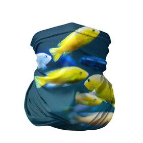 Бандана-труба 3D с принтом Рыбки в Кировске, 100% полиэстер, ткань с особыми свойствами — Activecool | плотность 150‒180 г/м2; хорошо тянется, но сохраняет форму | fish | fishes | pisces | море | морские обитатели | морской | океан | рыбы