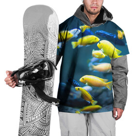 Накидка на куртку 3D с принтом Рыбки в Кировске, 100% полиэстер |  | Тематика изображения на принте: fish | fishes | pisces | море | морские обитатели | морской | океан | рыбы