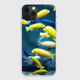 Чехол для iPhone 12 Pro Max с принтом Рыбки в Кировске, Силикон |  | Тематика изображения на принте: fish | fishes | pisces | море | морские обитатели | морской | океан | рыбы