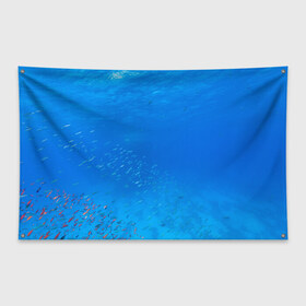 Флаг-баннер с принтом Море в Кировске, 100% полиэстер | размер 67 х 109 см, плотность ткани — 95 г/м2; по краям флага есть четыре люверса для крепления | fish | fishes | pisces | море | морские обитатели | морской | океан | рыбы