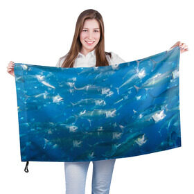 Флаг 3D с принтом Рыбы океана в Кировске, 100% полиэстер | плотность ткани — 95 г/м2, размер — 67 х 109 см. Принт наносится с одной стороны | fish | fishes | pisces | море | морские обитатели | морской | океан | рыбы
