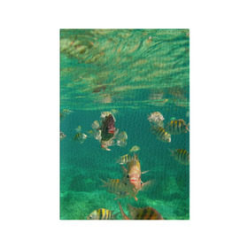 Обложка для паспорта матовая кожа с принтом abyssal fishes в Кировске, натуральная матовая кожа | размер 19,3 х 13,7 см; прозрачные пластиковые крепления | Тематика изображения на принте: fish | fishes | pisces | море | морские обитатели | морской | океан | рыбы