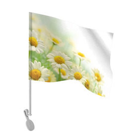 Флаг для автомобиля с принтом Полевые ромашки в Кировске, 100% полиэстер | Размер: 30*21 см | луг | поле | цветы