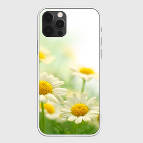 Чехол для iPhone 12 Pro Max с принтом Полевые ромашки в Кировске, Силикон |  | луг | поле | цветы
