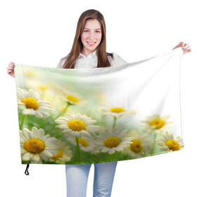 Флаг 3D с принтом Полевые ромашки в Кировске, 100% полиэстер | плотность ткани — 95 г/м2, размер — 67 х 109 см. Принт наносится с одной стороны | луг | поле | цветы
