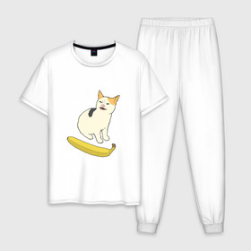 Мужская пижама хлопок с принтом Cat no banana в Кировске, 100% хлопок | брюки и футболка прямого кроя, без карманов, на брюках мягкая резинка на поясе и по низу штанин
 | Тематика изображения на принте: angry cat | banana | cat | no banana