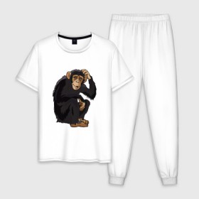 Мужская пижама хлопок с принтом Обезьяна думает в Кировске, 100% хлопок | брюки и футболка прямого кроя, без карманов, на брюках мягкая резинка на поясе и по низу штанин
 | Тематика изображения на принте: думать | животное | мавпа | обезьяна | человек