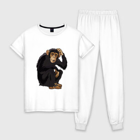 Женская пижама хлопок с принтом Обезьяна думает в Кировске, 100% хлопок | брюки и футболка прямого кроя, без карманов, на брюках мягкая резинка на поясе и по низу штанин | думать | животное | мавпа | обезьяна | человек