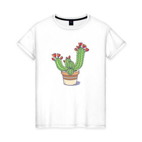 Женская футболка хлопок с принтом Кактус в Кировске, 100% хлопок | прямой крой, круглый вырез горловины, длина до линии бедер, слегка спущенное плечо | горшок | растение | цветет | цветок